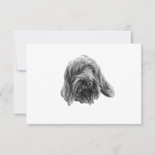 Carte De Remerciements Spinone Remerciements Calmes (Devant)
