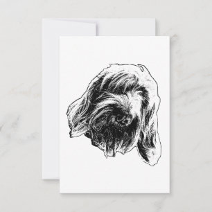 Carte De Remerciements Spinone Remerciements Gentils