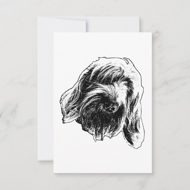 Carte De Remerciements Spinone Remerciements Gentils (Devant)