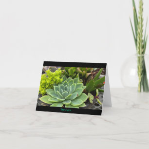 Carte De Remerciements Succulent