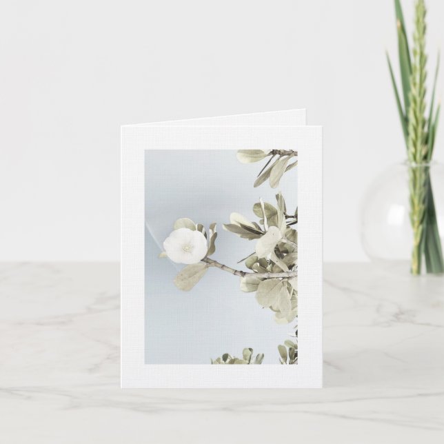 Carte De Remerciements Sueños de Puerto Rico (Devant)