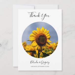 Carte De Remerciements Sunflower Blue Sky Rustique Mariage