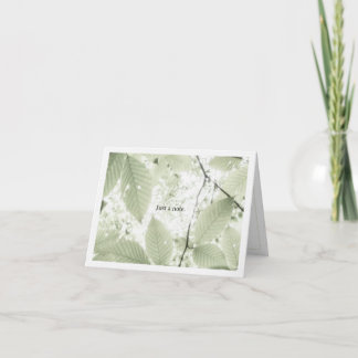 Carte De Remerciements Sunlit leaves in New Hampshire (horizontal)