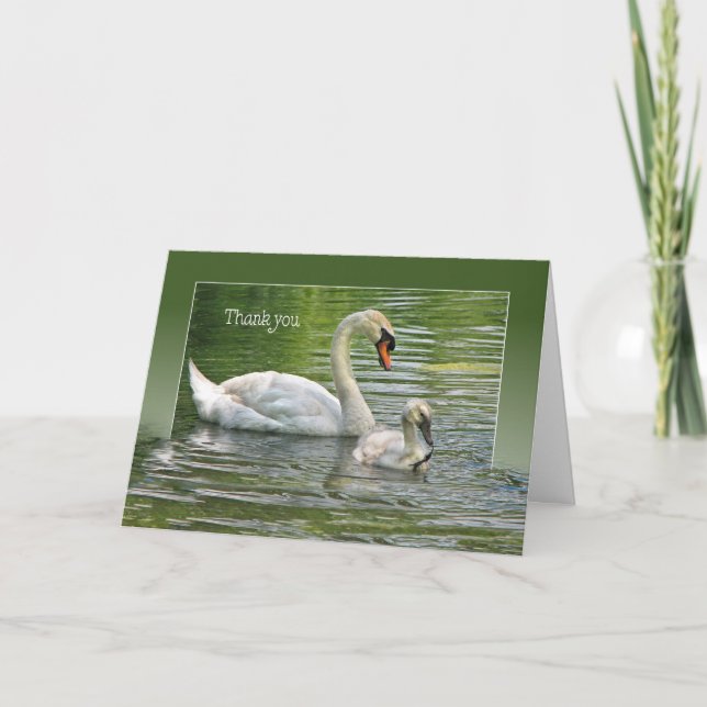 Carte De Remerciements Swan avec cygnet dans l'eau pour vous remercier (Devant)