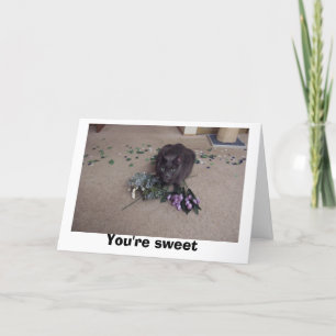 Carte De Remerciements Sweet Friend