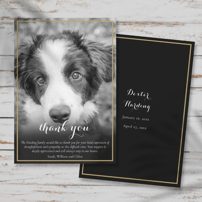 Carte De Remerciements Sympathie de perte de animal de compagnie Photo no (Pet Loss Sympathy Black and White Photo Thank You Card)