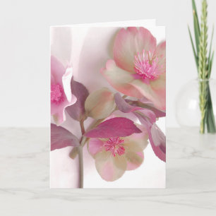 Carte De Remerciements Tapis de table en papier Dreamy Hellebores