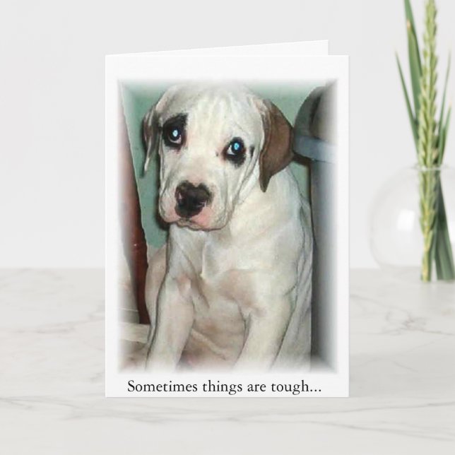 Carte De Remerciements temps de déplacement (Devant)