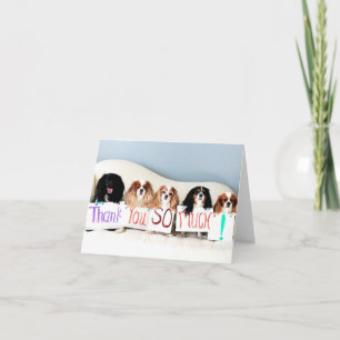 Carte De Remerciements Terri's Thank You Card.jpg