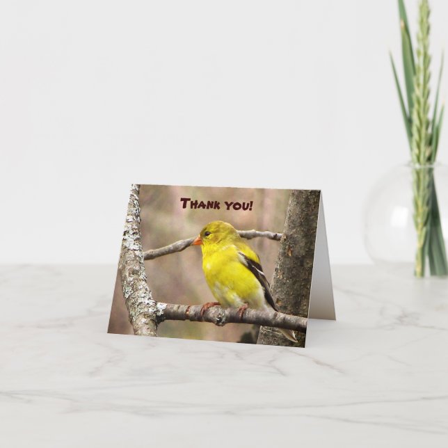 Carte De Remerciements Thank You (Devant)