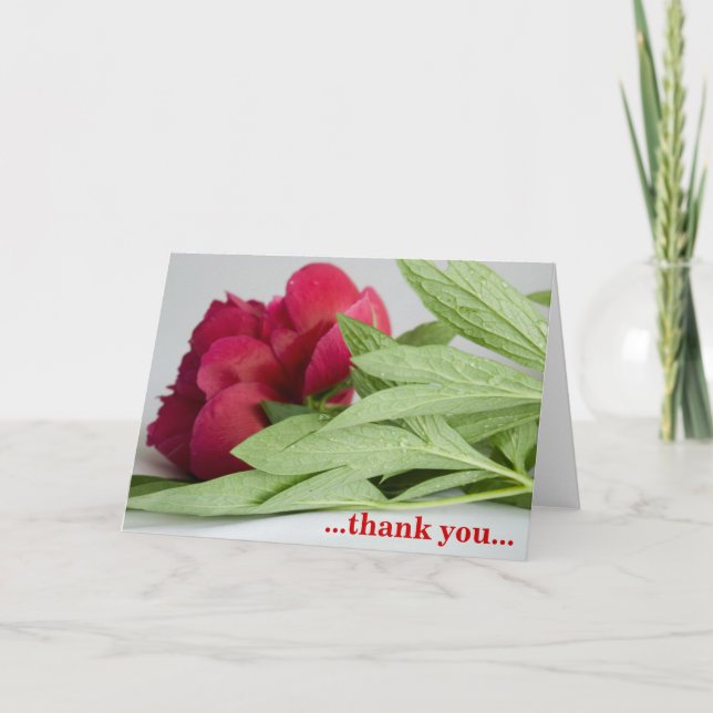 Carte De Remerciements ...thank you... (Devant)