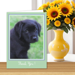 Carte De Remerciements Thank You Black Labrador Puppy