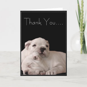 Carte De Remerciements Thank You Bulldog Puppies