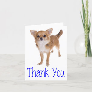Carte De Remerciements Thank You Chihuahua Puppy Dog Blank Notecard