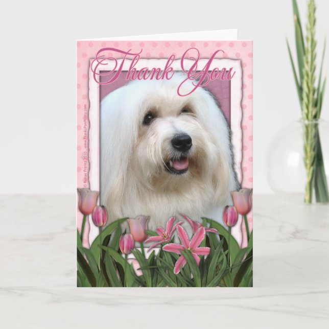 Carte De Remerciements Thank You - Coton de Tulear (Devant)