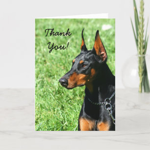 Carte De Remerciements Thank You Doberman Pinscher greeting card