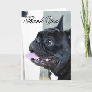 Carte De Remerciements Thank You French Bulldog