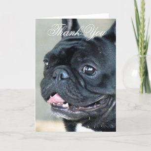Carte De Remerciements Thank You French Bulldog