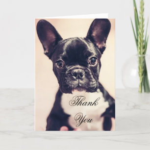 Carte De Remerciements Thank You French Bulldog
