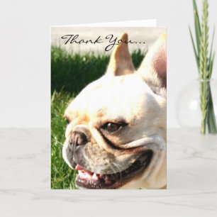 Carte De Remerciements Thank you French bulldog greeting card