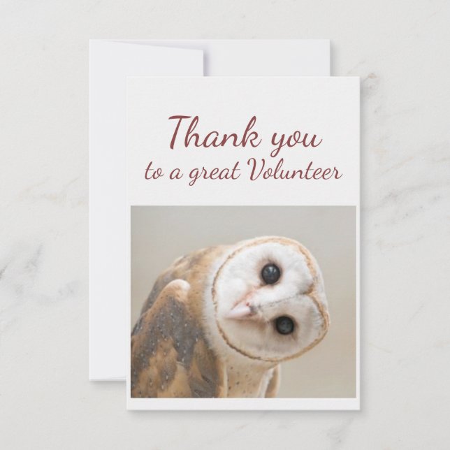 Carte De Remerciements  Thank You Fun Curious Barn Owl Bird Volunteer (Devant)