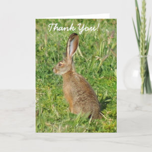 Carte De Remerciements Thank You Jack Rabbit greeting card
