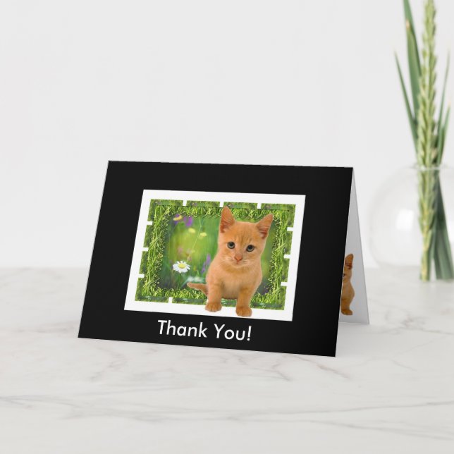 Carte De Remerciements Thank you Kitten (Devant)