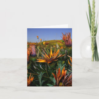 Carte De Remerciements Thank you note : Field of Flowers