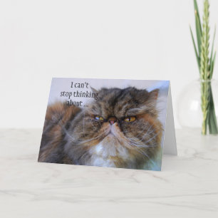 Carte De Remerciements Thank You Persian Calico Kitty Princess Card