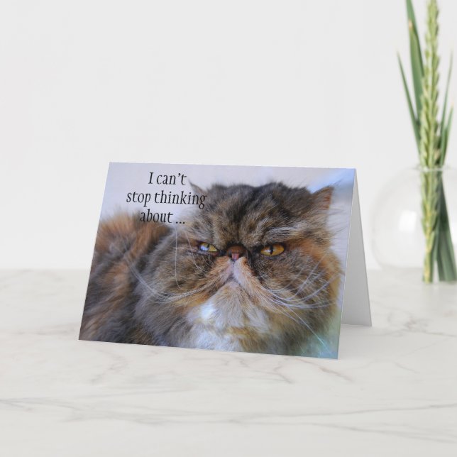 Carte De Remerciements Thank You Persian Calico Kitty Princess Card (Devant)