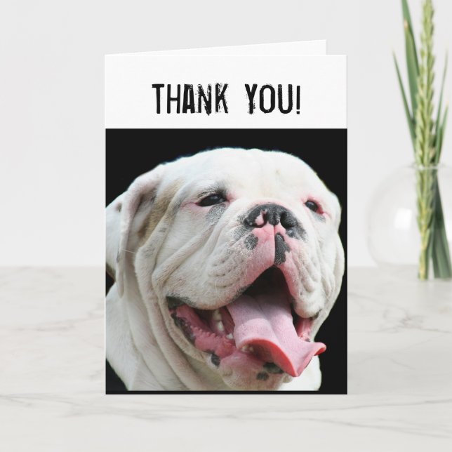 Carte De Remerciements Thank You White Bulldog greeting card (Devant)