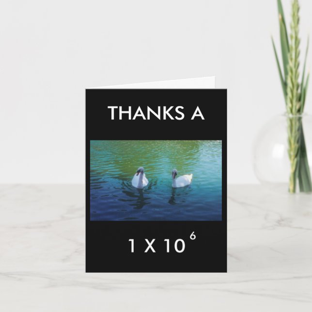 CARTE DE REMERCIEMENTS THANKS A MILLION (Devant)