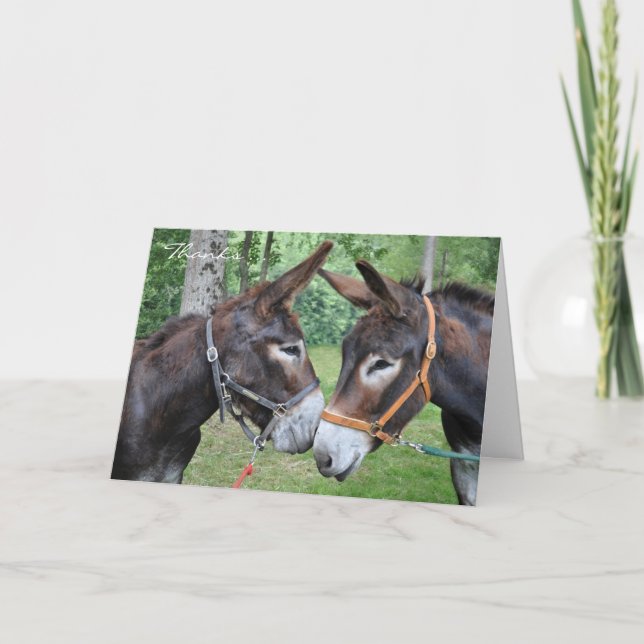 Carte De Remerciements Thanks for being my friend donkeys (Devant)