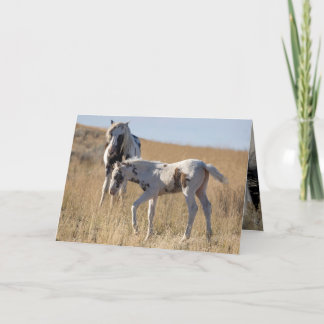 Carte De Remerciements Thor et Thudra