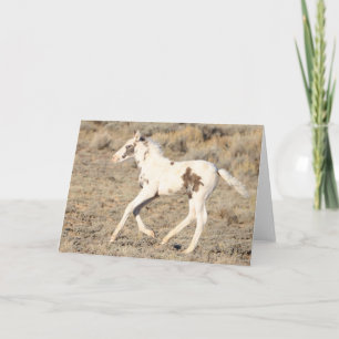 Carte De Remerciements Thora de McCullough Peaks