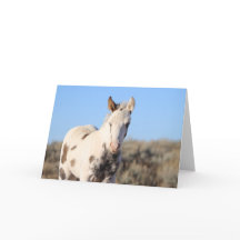 Thora de McCullough Peaks