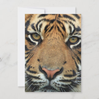 Carte De Remerciements Tiger face