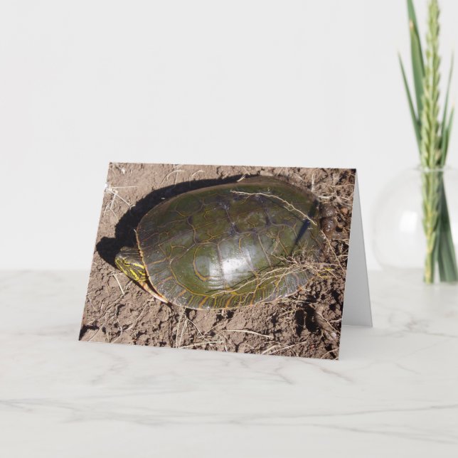 carte de remerciements "Tortue peinte" (Devant)