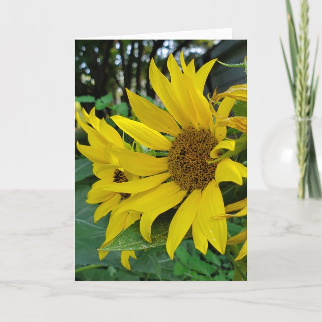 Carte De Remerciements Tournesol (Devant)