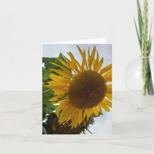 Carte De Remerciements Tournesol : Adoration, Loyauté - Une fleur joyeuse