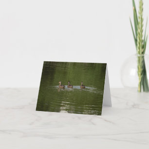 Carte De Remerciements Trio de canards