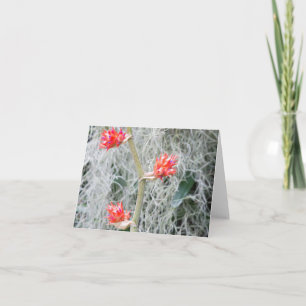 Carte De Remerciements trois fleurs de bromélia sur tige