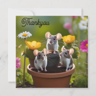 Carte De Remerciements Trois Mètres Dans Des Pots À Fleurs,