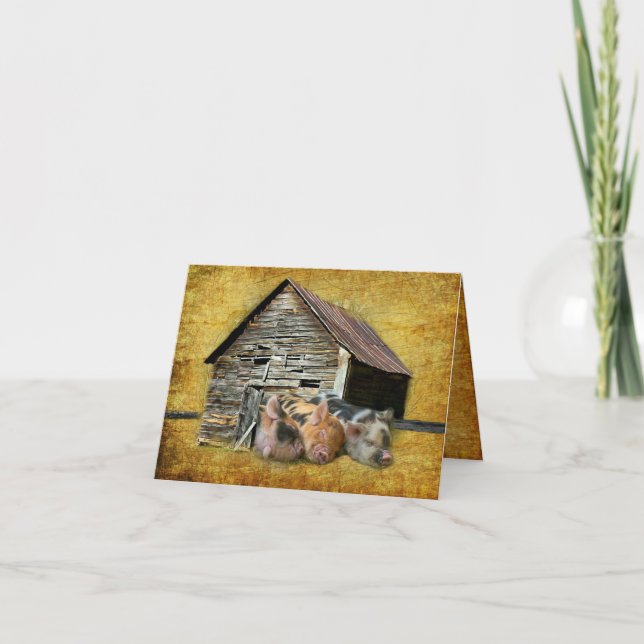 Carte De Remerciements Trois Petits Cochons À La Grange Rustique Snoozing (Devant)