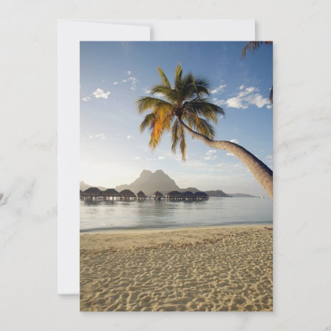 Carte De Remerciements Tropical Beaches | Beach Huts, Bora Bora (Devant)