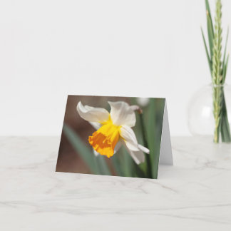 Carte De Remerciements Tulipe orange et crème