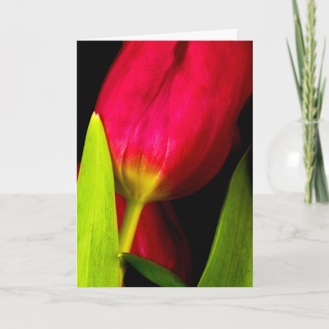 Carte De Remerciements Tulipes (Devant)