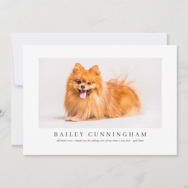 Carte De Remerciements Un Animal De Compagnie De Photo Moderne Et Simple  (Devant)