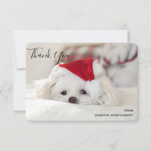 Carte De Remerciements Un mignon chien blanc dans un Casquette de Noël ro