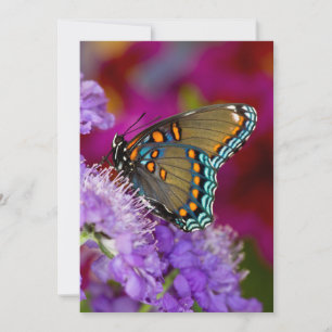 Carte De Remerciements Un papillon swallowtail à épices